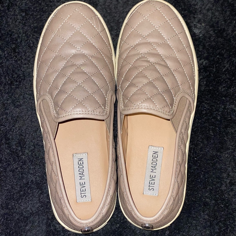 Steve Madden Ecentrcq Slip On Sneakers. Size: 8